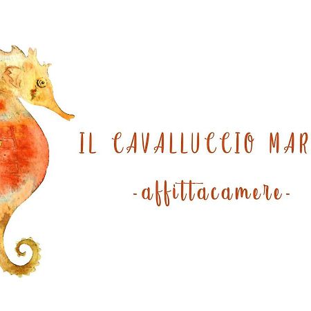Il Cavalluccio Marino Manarola Exterior photo
